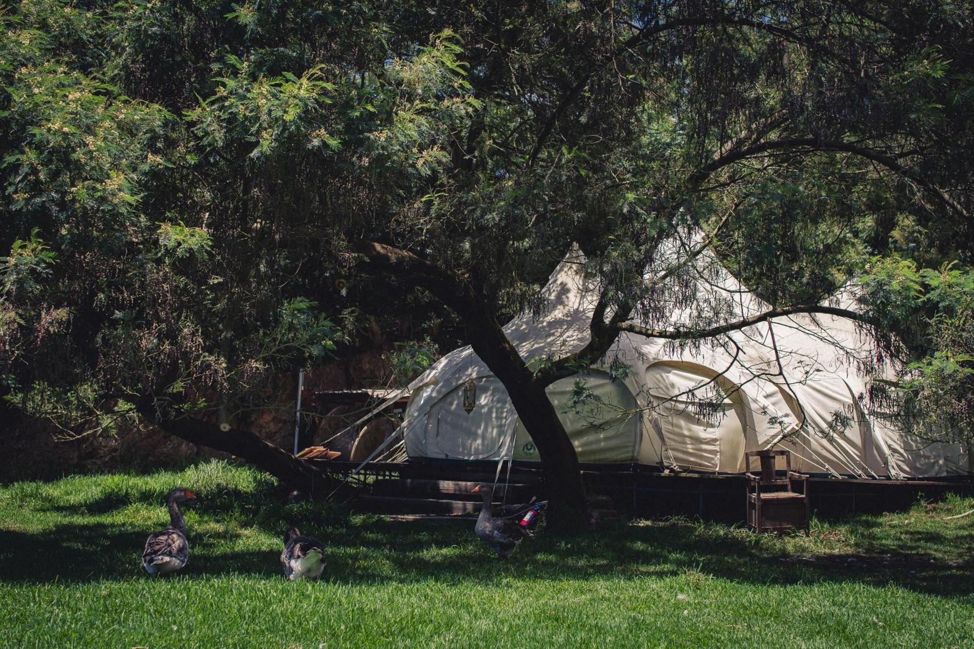Arambha Ecovillage Farmstay Tabua  エクステリア 写真