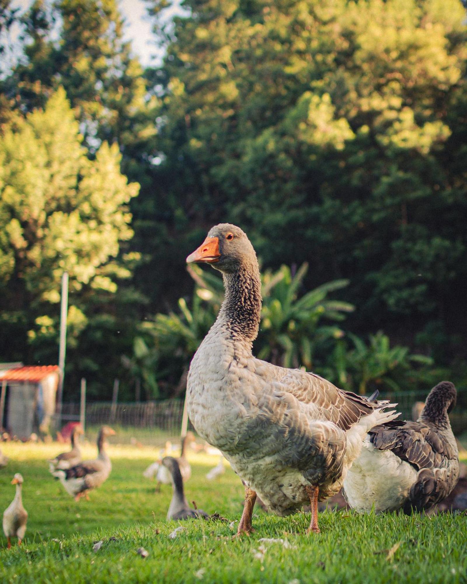 Arambha Ecovillage Farmstay Tabua  エクステリア 写真