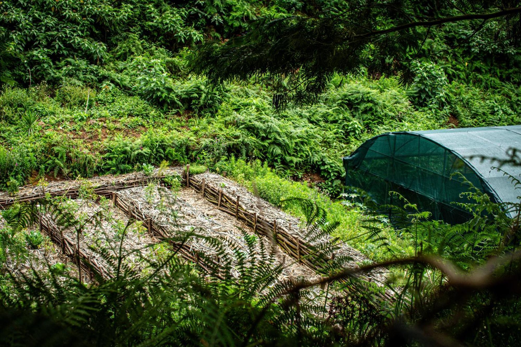 Arambha Ecovillage Farmstay Tabua  エクステリア 写真